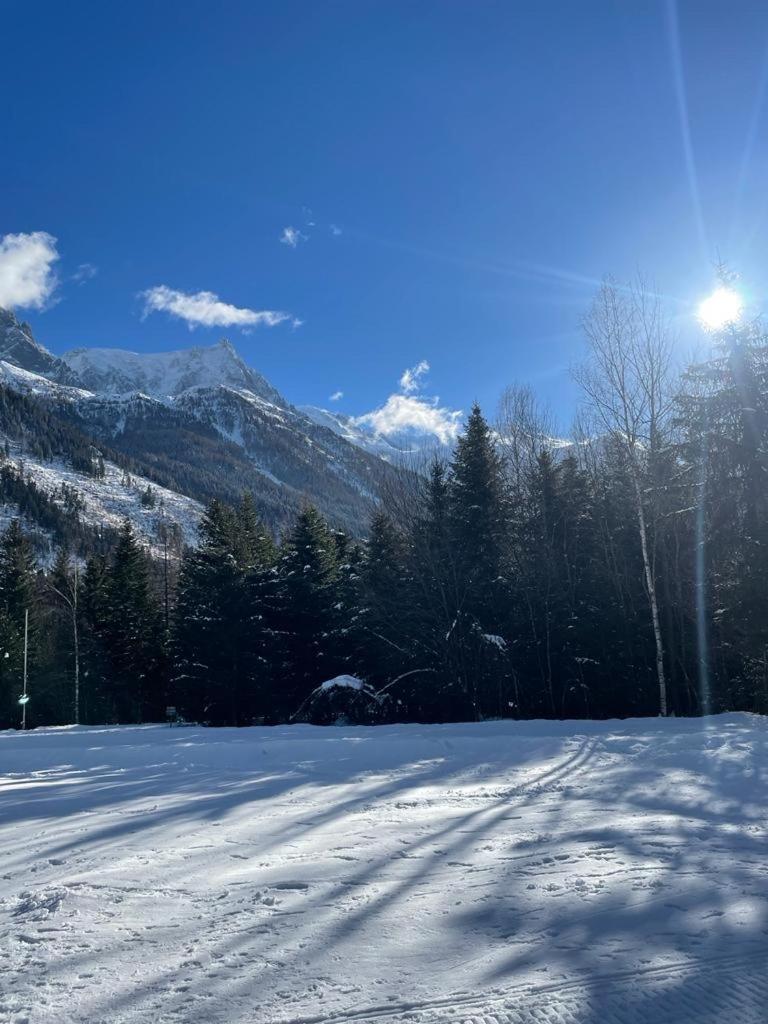 Le Grand Panorama Appartement 2 Chambres 6 Personnes Saint-Gervais-les-Bains Eksteriør bilde